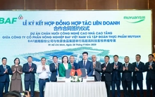 BAF bắt tay Muyuan trong dự án nuôi heo nhà cao tầng 12.000 tỷ đồng