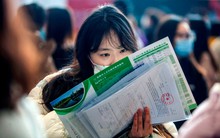 Tiến sĩ danh giá nhưng vẫn bị từ chối xin việc gần 20 lần: "Tôi đi phỏng vấn liên tục nhưng đều thất bại"