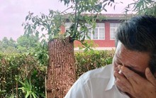 Bị quản lý chung cư khởi kiện vì cắt tỉa cây, yêu cầu bồi thường 534 triệu đồng, người đàn ông tuyên bố: “Cây trong vườn nhà tôi thì tôi có quyền”