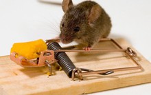 Mặt trái phía sau các ứng dụng miễn phí: Người dùng không hề biết mình trả giá đắt thế nào!