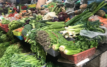 Ba loại rau quen thuộc trong bếp Việt có ‘mùi vị’ chung - là điều mà tế bào ung thư kinh sợ nhất!