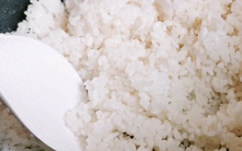 Ăn cơm nguội để qua đêm có hại không?