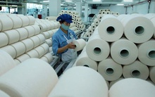 Sợi Thế Kỷ chốt ngày phát hành hơn 43 triệu cổ phiếu trả cổ tức