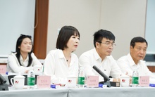 Văn Phú - Đèo Cả báo cáo định hướng phát triển “Trục cảnh quan sông Hồng”