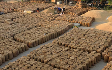 Một ‘mỏ vàng’ của Việt Nam đang được các quốc gia châu Phi đua nhau săn lùng: Xuất khẩu đứng thứ 2 thế giới, nước ta liên tục đe dọa ngôi vương của Thái Lan