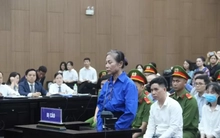 Thi hành án dân sự trong các vụ án tham nhũng, kinh tế đạt hơn 22.342 tỷ đồng