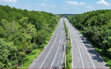 TP.HCM chỉ đạo liên quan đề xuất làm đường sắt đô thị của các doanh nghiệp lớn