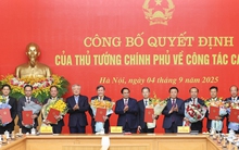 Thủ tướng trao quyết định bổ nhiệm lãnh đạo 8 bộ, cơ quan