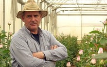 Công ty Đà Lạt chi 4.600 tỷ đồng 'nuốt chửng' tập đoàn hoa tươi 100 năm tuổi của Úc: Di sản của người đàn ông Hà Lan biến 700.000 USD thành DN 500 triệu USD