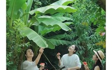 5 thời điểm đời người sẽ rơi xuống đáy, bước qua tuổi trung niên tôi nhận ra chỉ có 1 cách duy nhất để bật lên