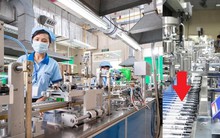 Bán sản phẩm chỉ bằng cốc trà đá khiến 74 quốc gia đặt mua, DN Việt lại “chơi lớn” ở “xứ sở nghìn đảo”