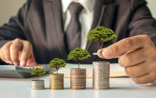 Thay vì "ngồi canh" bảng điện mỗi ngày, vì sao nhà đầu tư chứng khoán nên chọn chiến lược dài hạn?