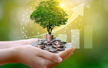 Những con số bất ngờ về thị trường vốn xanh ở Việt Nam