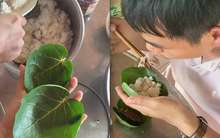 "Ước mơ" không phải rửa bát sau khi ăn, cô gái liền trồng ngay một loại cây, dân mạng xem xong chỉ biết trầm trồ