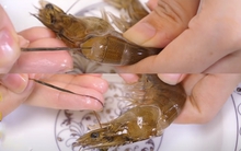 Rút chỉ đen ở lưng tôm sao cho dễ và đẹp?