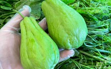 Không phải dưa chuột, tháng 9 nên ăn nhiều 7 loại "rau củ vàng" này để bù nước cho cơ thể: Ngon, bổ dưỡng lại không tốn kém