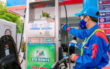 Khi nào xăng sinh học E10 thay thế toàn bộ xăng khoáng?