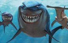 "Soi" lợi nhuận quỹ mở trong tháng 8 bùng nổ: Nhiều tên tuổi thắng lớn, hiệu suất vượt trội Index