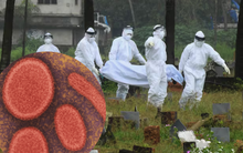 5 năm sau COVID-19, Hàn Quốc xuất hiện thêm bệnh truyền nhiễm cấp độ 1, tỷ lệ tử vong 75%