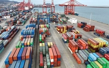 Tin mới nhất về gần 500 container chè Việt Nam ách tắc tại Pakistan