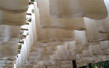 'Vàng trắng' của Việt Nam đắt hàng tại Đông Nam Á: diện tích trồng hơn 900.000 ha, nước ta là ông lớn top 5 thế giới