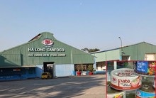 Nóng: Bắt khẩn cấp Tổng Giám đốc Đồ hộp Hạ Long