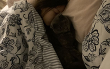 Một thói quen ngủ tưởng nhỏ nhưng có thể giúp kéo dài tuổi thọ thêm 4 năm, khoa học đã công nhận!