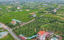 Tháo gỡ vướng mắc các dự án đất đai và triển khai Chương trình mục tiêu quốc gia