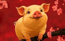 4 con giáp hiếm khi khoe nhưng lại siêu giàu: Ăn nên làm ra, vận may ồ ạt, đặc biệt là top 1