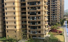 Mua nhà năm 2026: 4 kiểu nhà xem thì mê, nhưng "càng ở càng khóc"