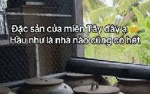 "Đặc sản" trong nhà người miền Tây, cả nước muốn biết đáp án