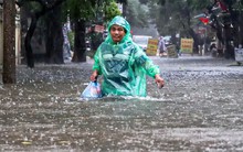 Dự báo tình hình rét đậm, rét hại và mưa bão trong 6 tháng đầu năm 2026