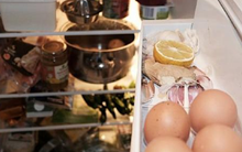 Đây là nơi bẩn nhất trong tủ lạnh... Nhiều người đã phải nhập viện vì nó