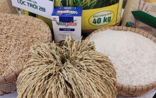 Gạo Lộc Trời bổ nhiệm tổng giám đốc mới