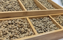 Giá cà phê hôm nay 15-1: Robusta ồ ạt ra thị trường