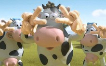 Cổ đông Nhà nước quyết tâm thoái bớt vốn Vinamilk giữa lúc cổ phiếu “bốc đầu” lên đỉnh 4 năm