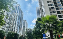 "Bán nhà hơn 2 tỷ đi làm ăn, gần 2 năm chưa thu hồi vốn còn căn hộ cũ đã lên gần 4 tỷ"