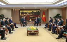 Vừa gặp Thủ tướng, Tập đoàn giữ vị thế độc tôn trong một lĩnh vực quan trọng chia sẻ kế hoạch lớn tại Việt Nam