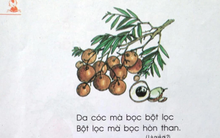 Câu đố tiếng Việt "Đây là quả gì?" trong sách giáo khoa lớp 1 cũ khiến 80% người lớn vò đầu bứt tai