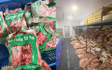 Cận cảnh kho thịt heo "đội lốt" đà điểu, dê, nai, nhím tuồn ra thị trường vừa bị triệt phá