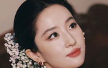 Không ai tin đây là Lưu Diệc Phi