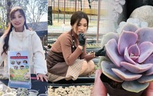 Cảnh báo trào lưu ăn sống sen đá chấm muối ớt, cẩn thận rước họa vào thân