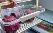 Nhìn mẹ chồng mua sắm, tôi nhận ra: Mình đã đốt tiền cho hàng loạt món trông thì "thông minh" nhưng dùng dở vô cùng