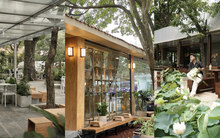 3 quán cà phê nằm gọn trong khuôn viên Bảo tàng Hồ Chí Minh, giới trẻ Thủ đô thi nhau truyền tai