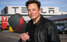 Vợt pickleball - "Miếng bánh" béo bở trị giá 67 tỷ USD khiến Tesla và hàng loạt "ông lớn" cùng tranh phần
