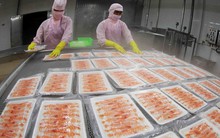 Ngành kinh tế tỷ đô của Việt Nam ghi nhận kỷ lục chưa từng có