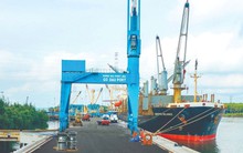 Công ty cảng biển 6.000 tỷ báo lãi kỷ lục, EPS 7.350 đồng, tiền mặt chiếm 50% tài sản