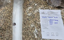 Giá cà phê hôm nay 2-1: Mốc 5.000 USD/tấn rất khó trở lại