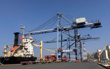 Cái Mép - Thị Vải liên tục đón tàu container trọng tải lớn trong ngày đầu năm 2026