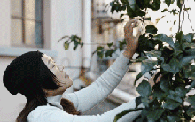 Thuê nhà nhỏ vẫn sống như biệt thự: Mẹ đơn thân biến ban công - sân hẹp thành khu vườn xanh mướt